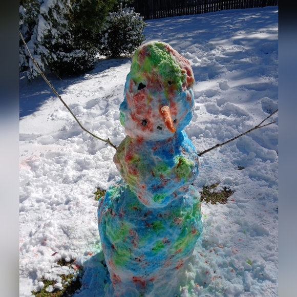 Meet your Posher, Lisa - Picture 3 of 10